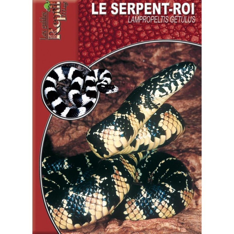 Livre sur le Serpent-Roi - Lampropeltis getulus